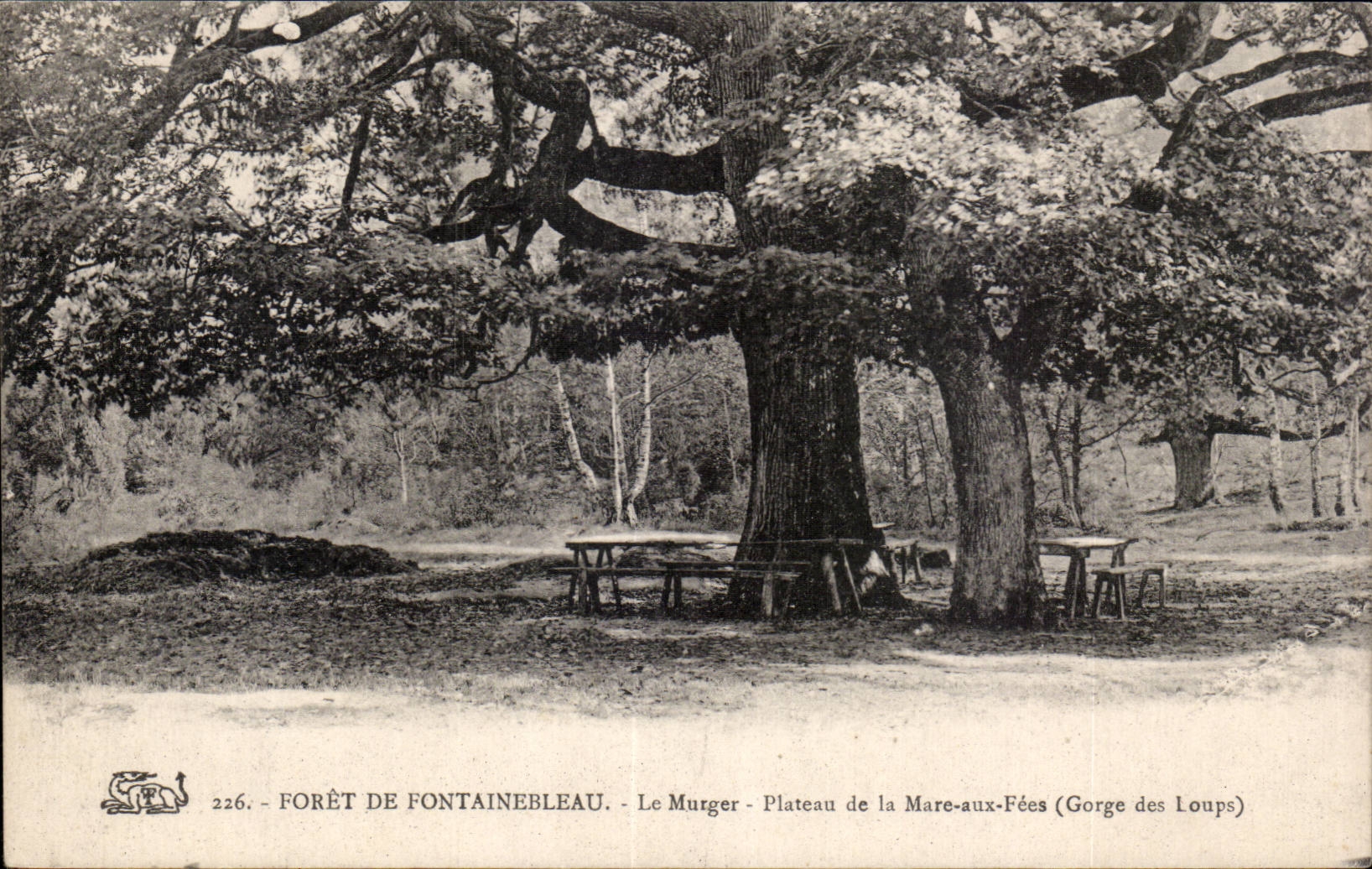 Bosque de Fontainebleau — Le Murger - Plataforma de la Mare-aux-Fées (Garganta de los Lobos) — n°226
