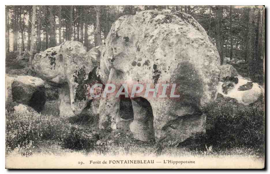 Forêt de FONTAINEBLEAU — L'Hippopotame — Éditeur D. (n°29)