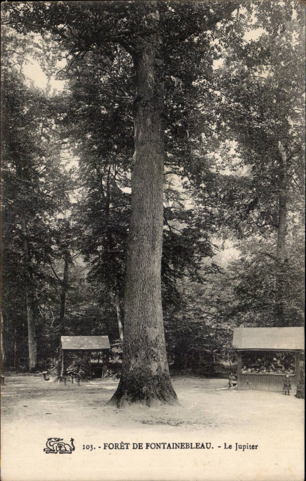 Bosque de Fontainebleau — El Árbol Júpiter — n°103 - Anverso