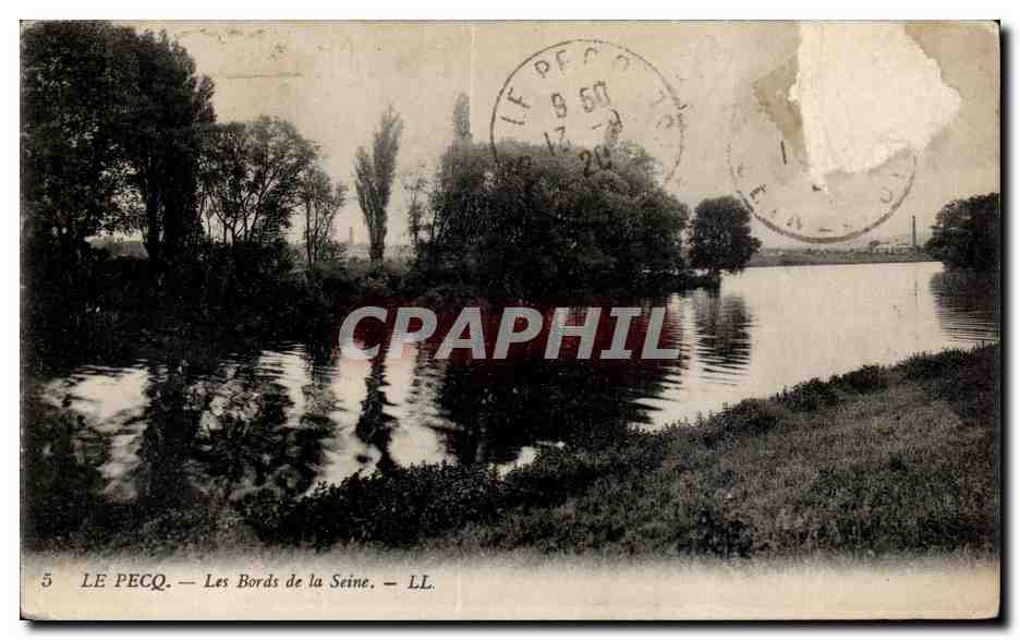 CPA Le Pecq Les bords de la Seine