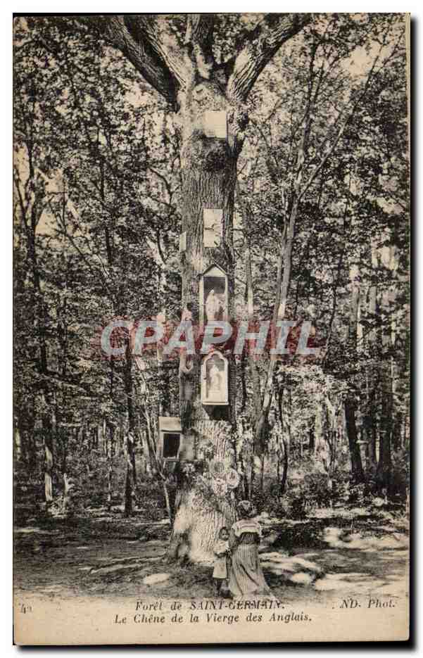 Forêt de Saint-Germain — Le Chêne de la Vierge des Anglais — ND. Phot.