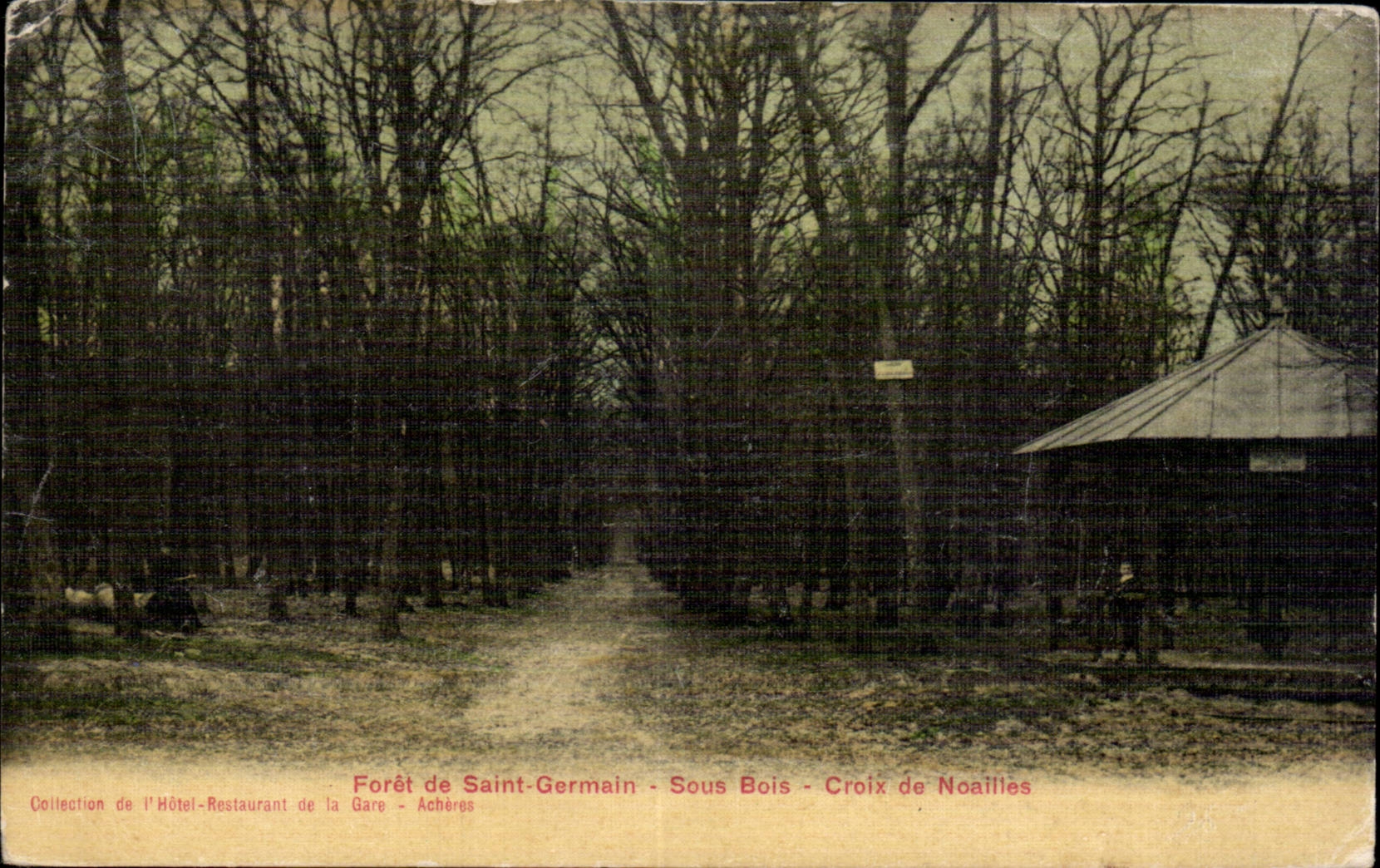 Forêt de Saint-Germain - Sous Bois - Croix de Noaillles — Collection de l'Hôtel-Restaurant de la Gare - Achères