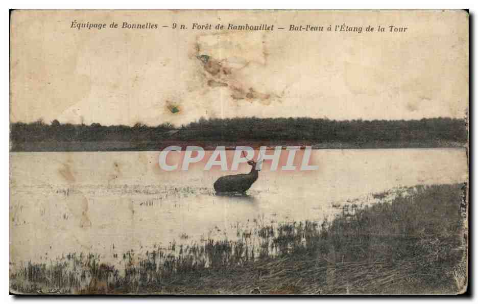 Équipage de Bonnelles — Forêt de Rambouillet — Bat-Peau à l'Étang de la Tour