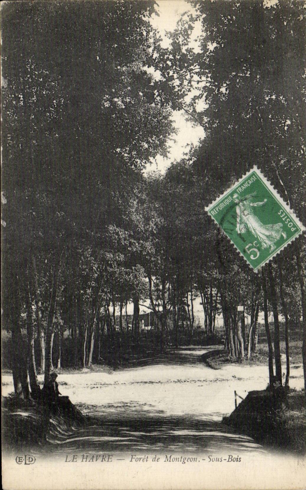 CPA Le Havre Foret de Montgeon Sous bois 