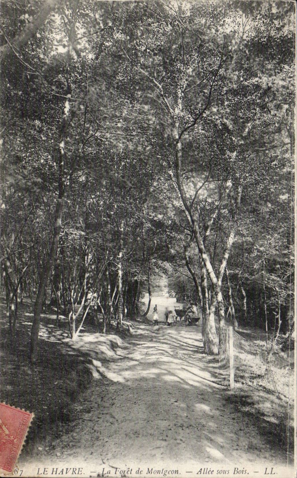 CPA Le Havre Foret de Montgeon Allee sous bois (animee)