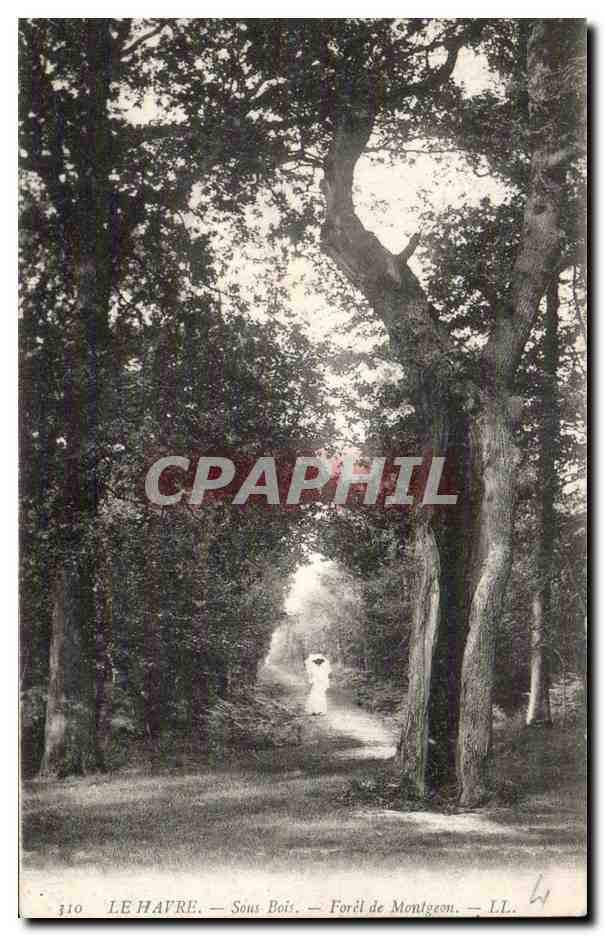 CPA Le Havre Foret de Montgeon Sous bois
