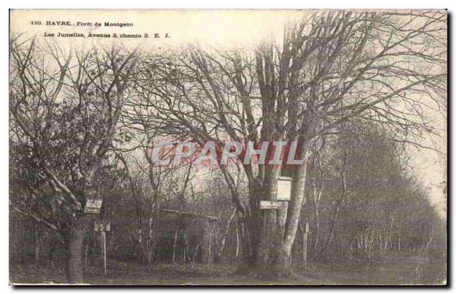 CPA Le Havre Foret de Montgeon Les jumelles Avenue 3 Chemin 3