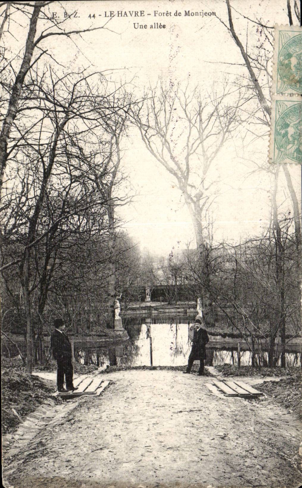 CPA Le Havre Foret de Montgeon Une allee 