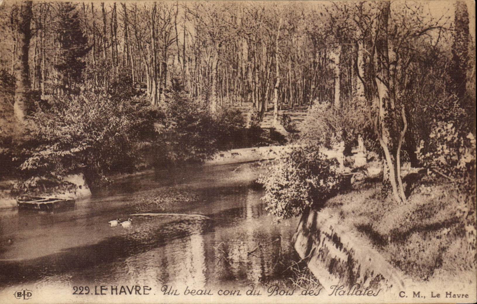 CPA Le Havre Un beau coin du pays des Hallates