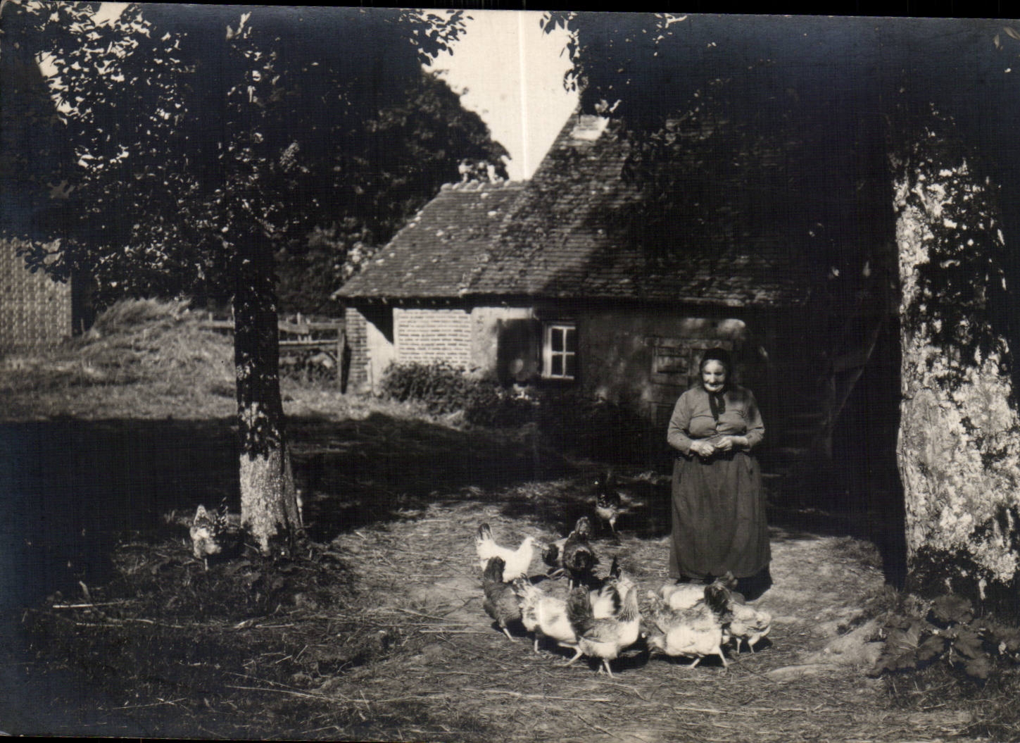 CARTE PHOTO Vieille femme et ses poules Costume