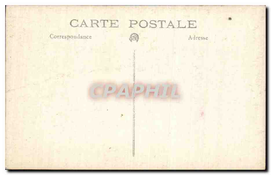 CARTE PHOTO Vieille femme et ses poules Costume — Rückseite