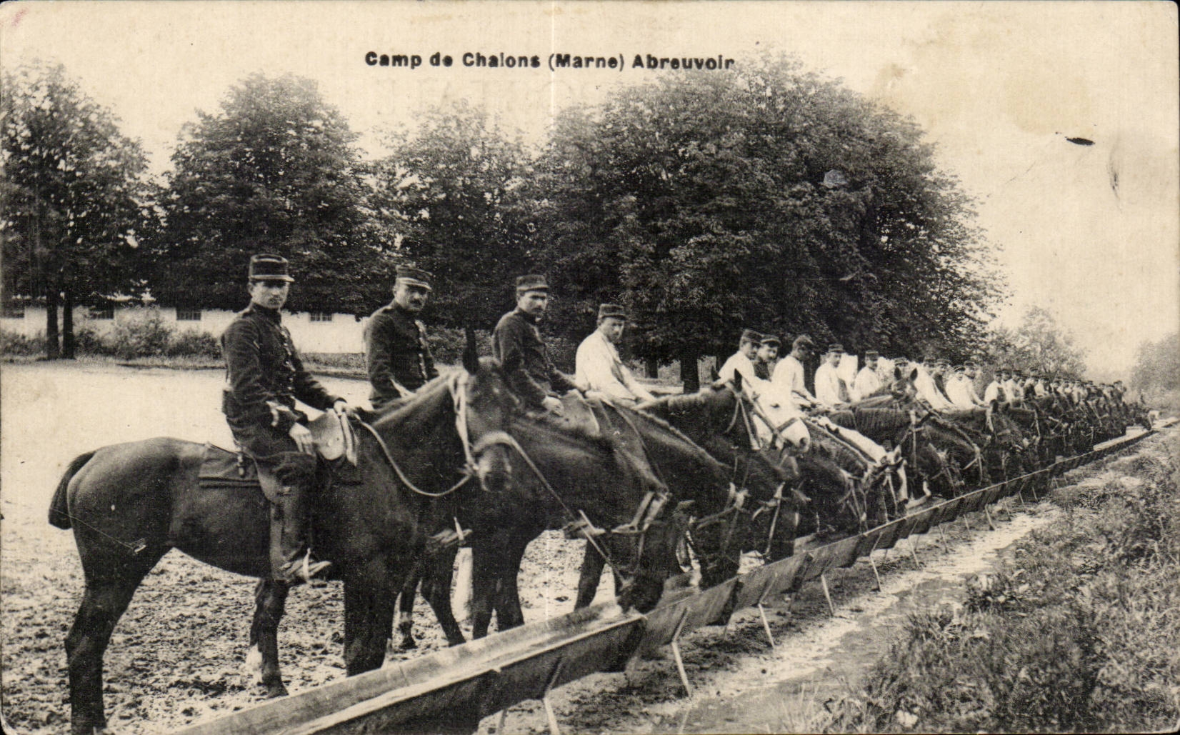 CPA Camp de Chalons Abreuvoir chevaux Horse Militaria 