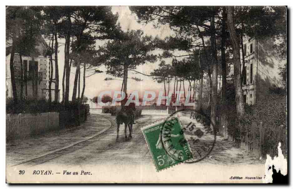 CPA Royan Vue au parc Cavalier Cheval Horse