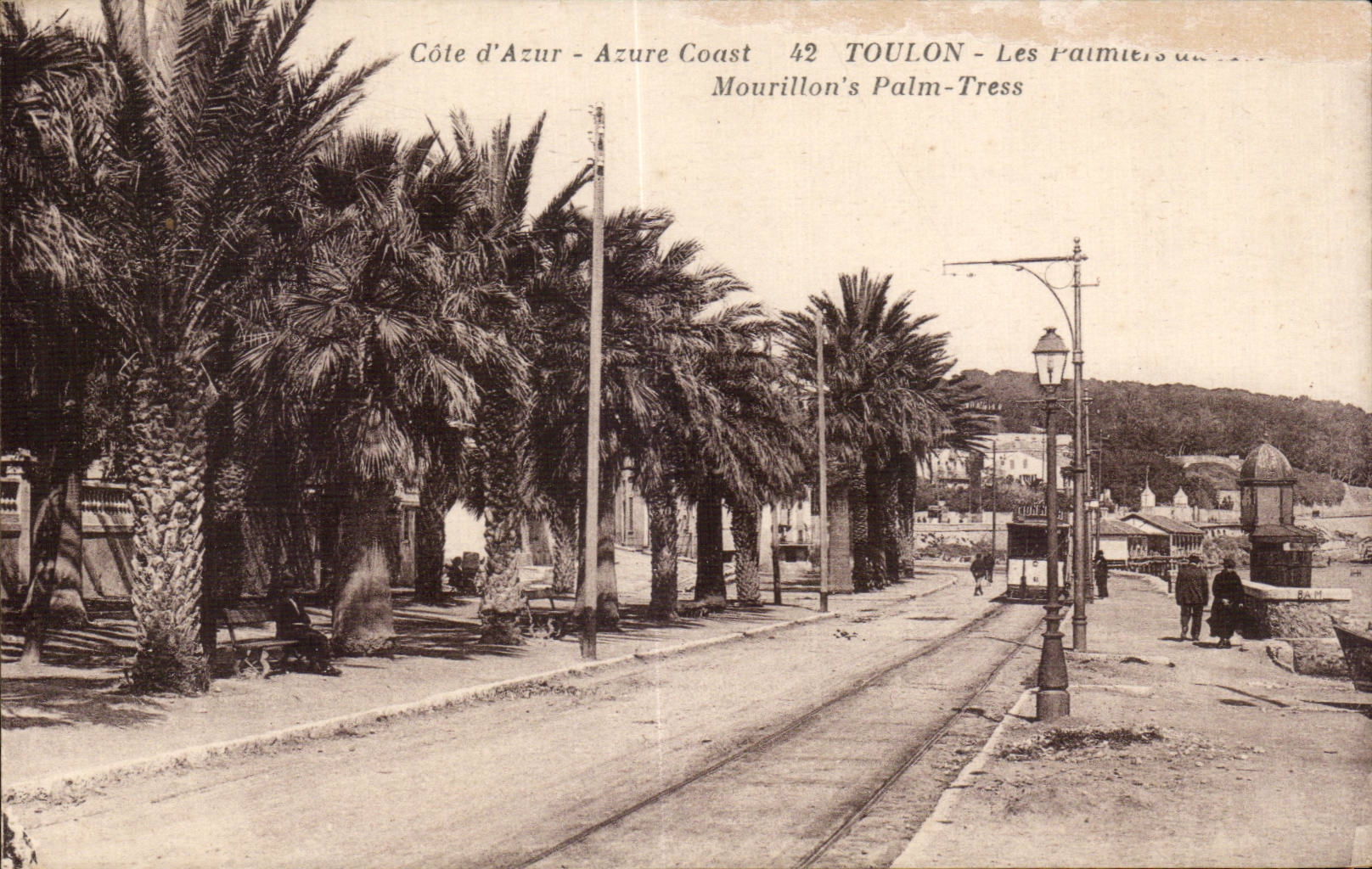 CPA Toulon Les palmiers