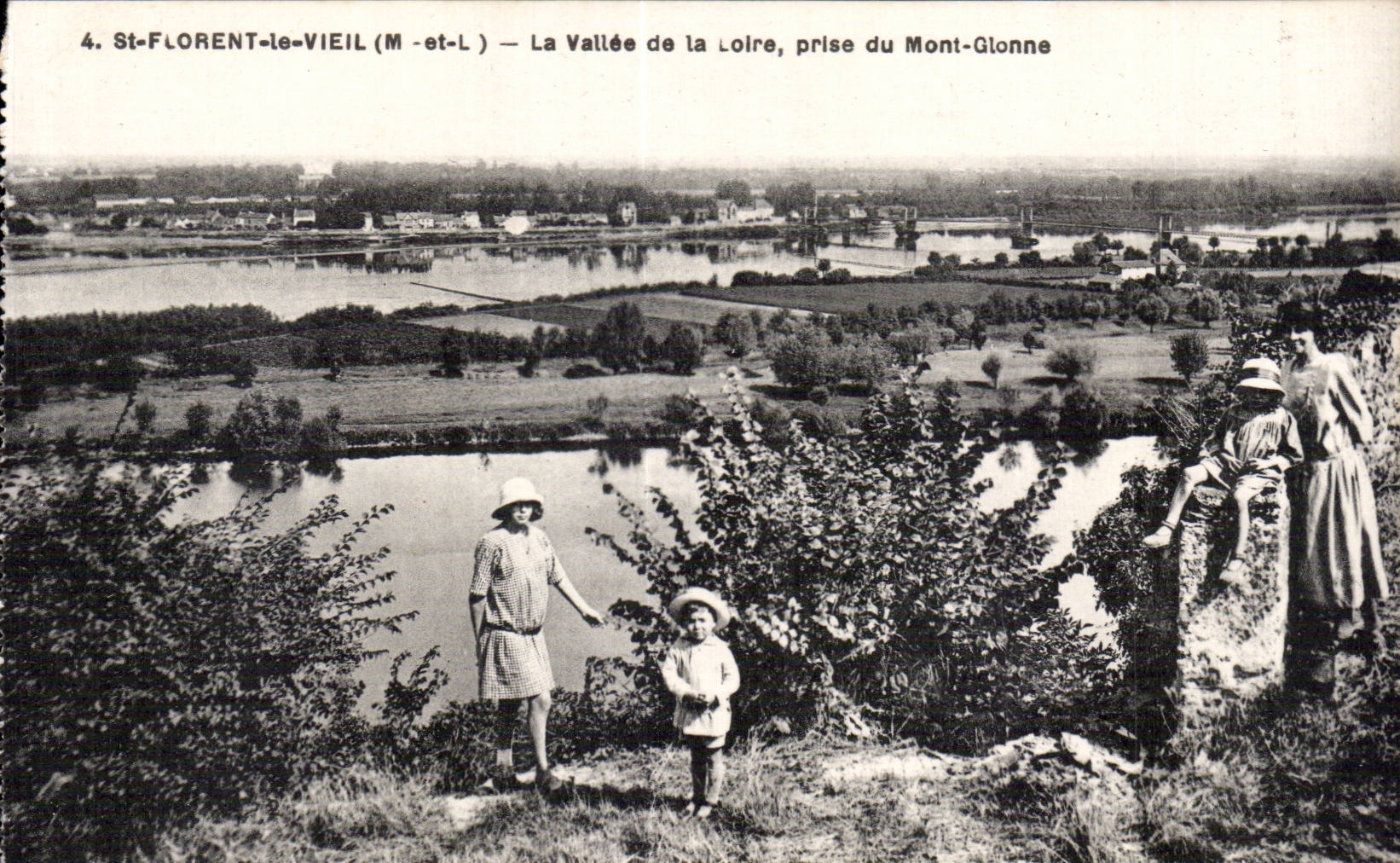 CPA St Florent le Vieil La vallee de la loire prise du Mont Glonne 