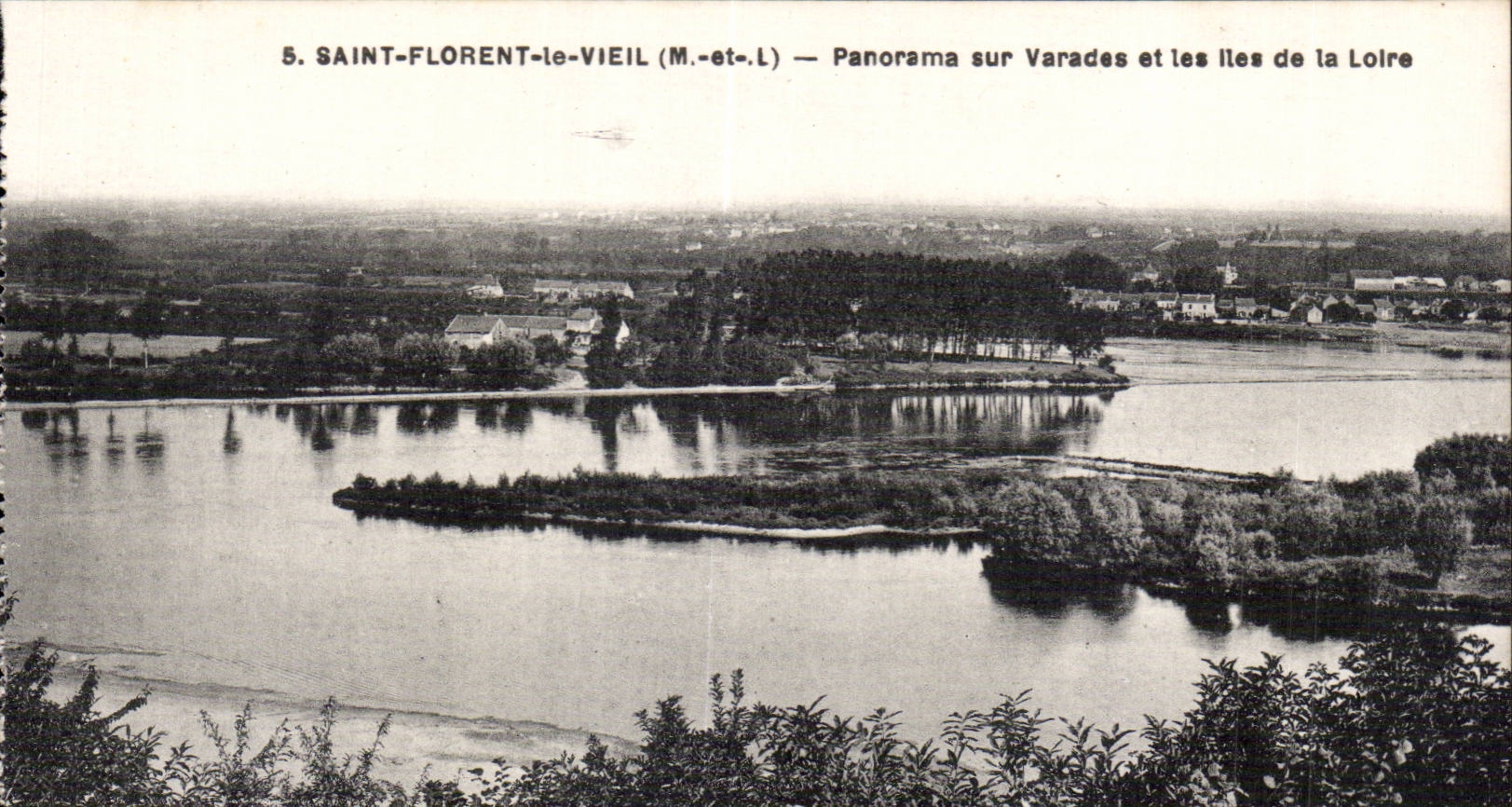 CPA St Florent le Vieil Panorama sur Varades et les iles de la Loire 