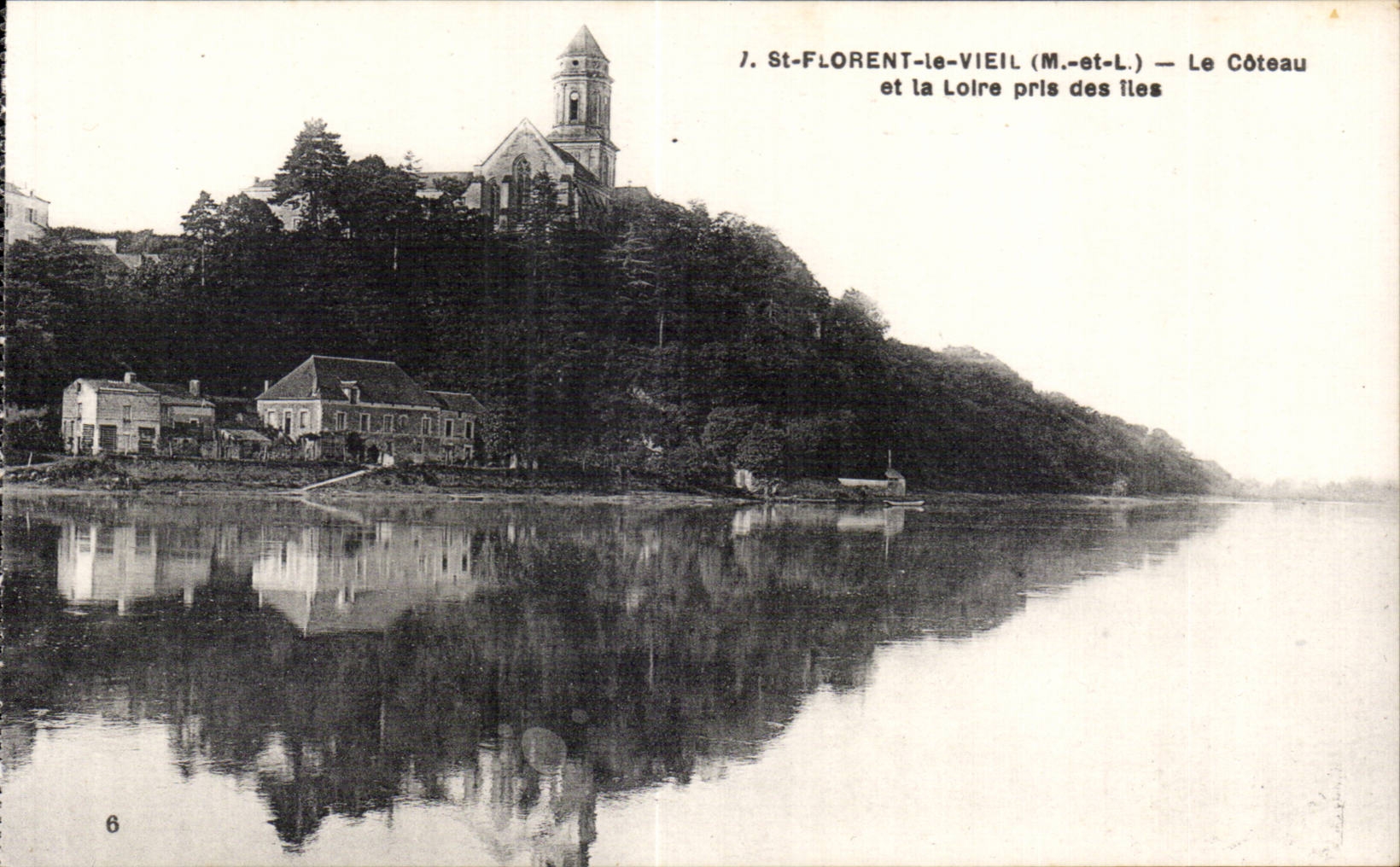 CPA St Florent le Vieil le coteau et la Loire pris des iles 