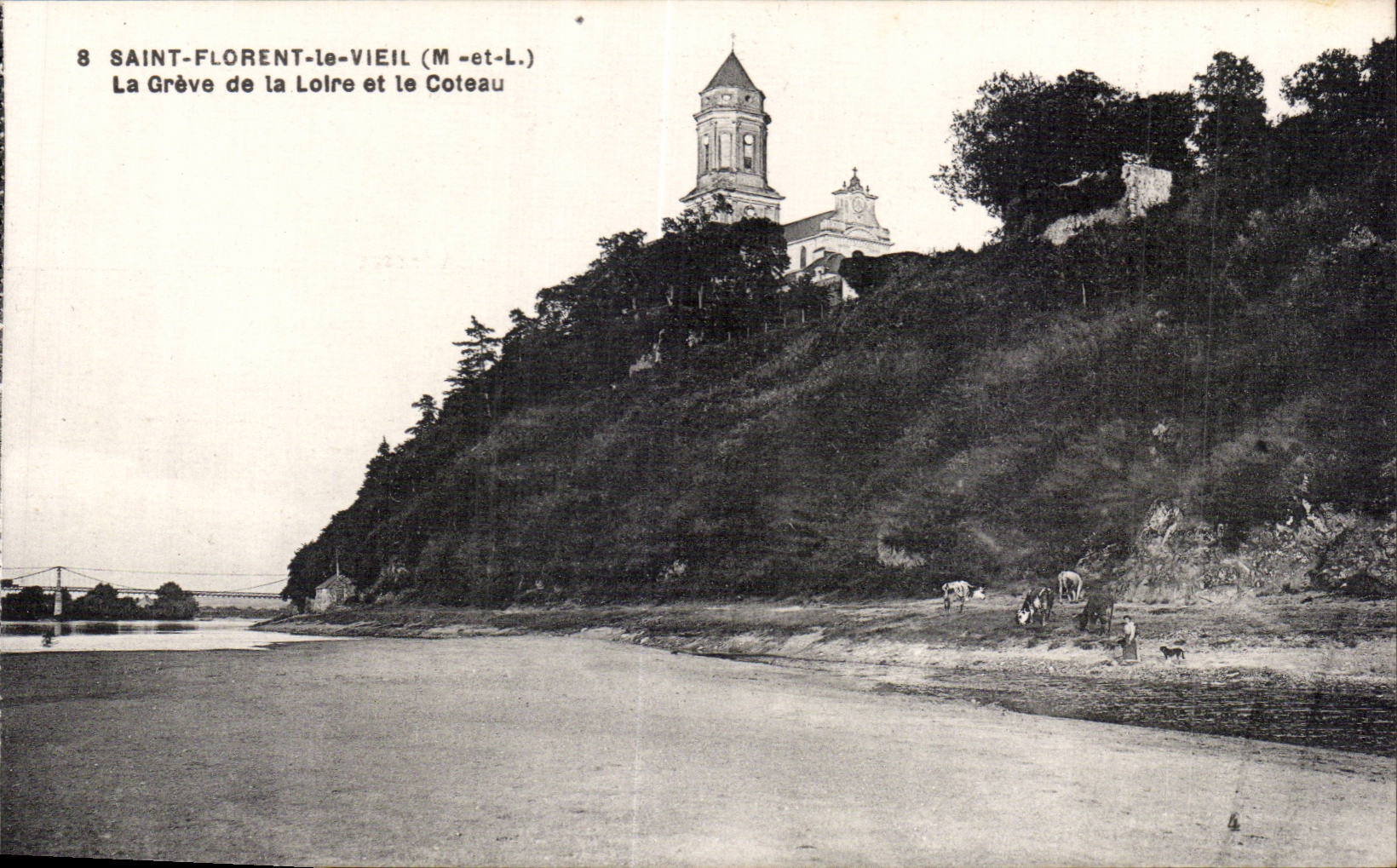 CPA St Florent le Vieil La greve et la Loire et le coteau