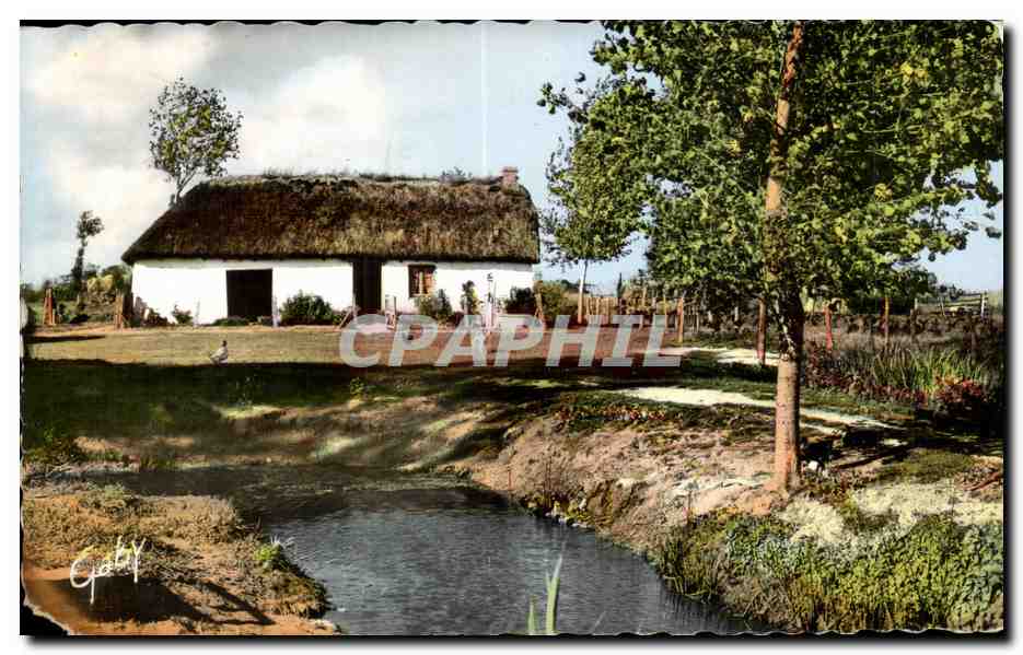 CPSM Au pays de Monts Bourine vendeenne 
