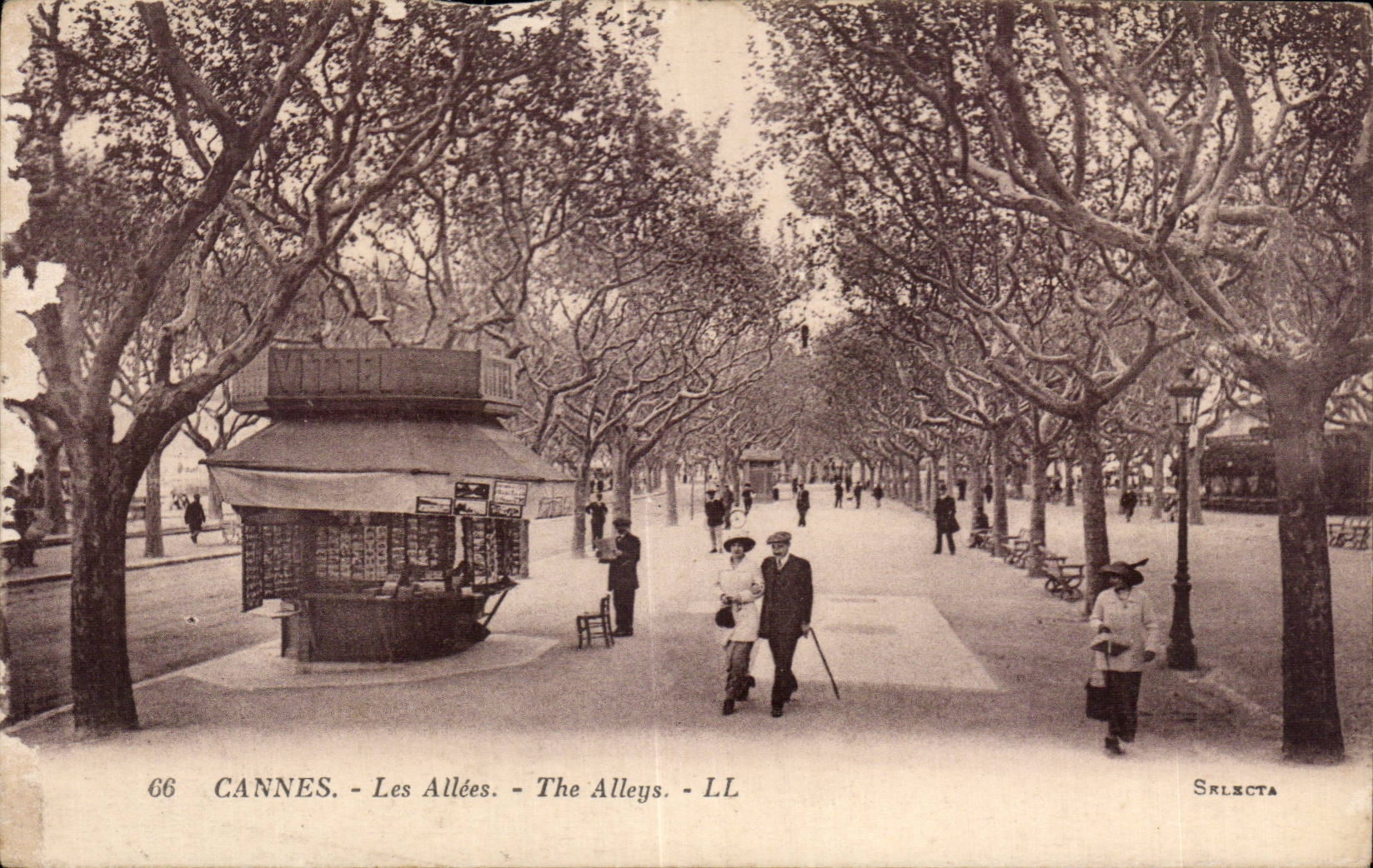 CPA Cannes Les allees