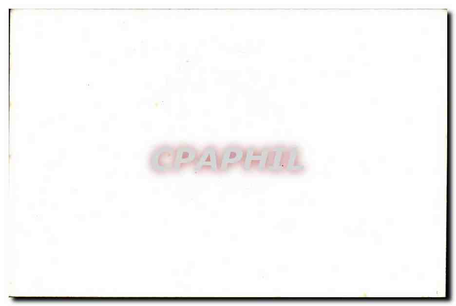 CPA Militaria Detaille Eclaireurs d avant garde — Rückseite