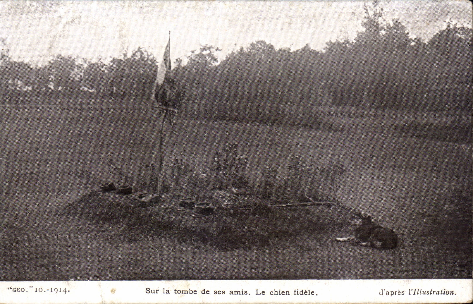 CPA Militaria Sur la tombe de ses amis Le chien fidele 