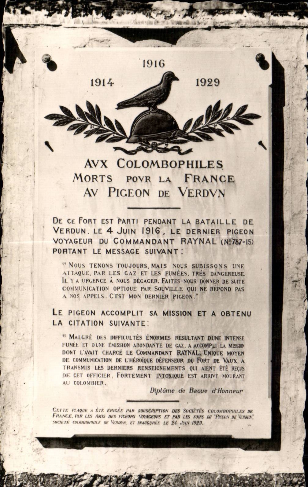 CPA Militaria Aux Colombophiles Morts pour la France au pigeon de Verdun 