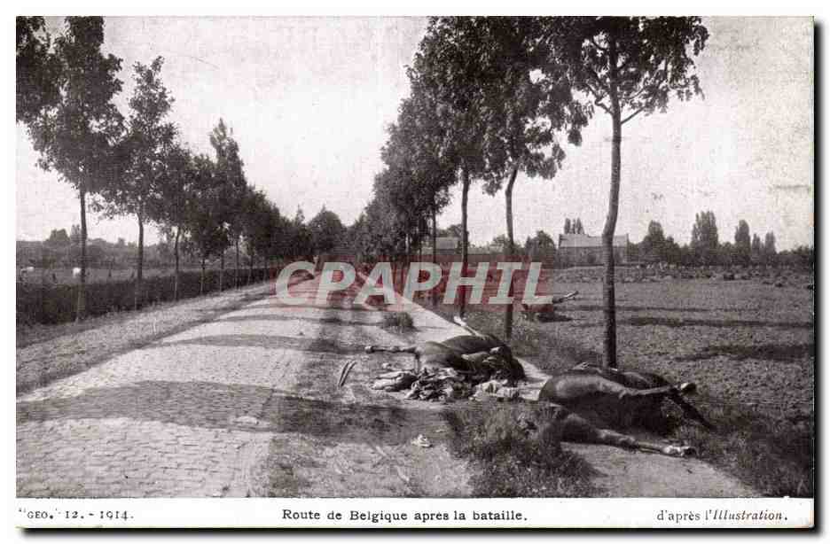 CPA Militaria Route de Belgique apres la bataille Cheval Horse