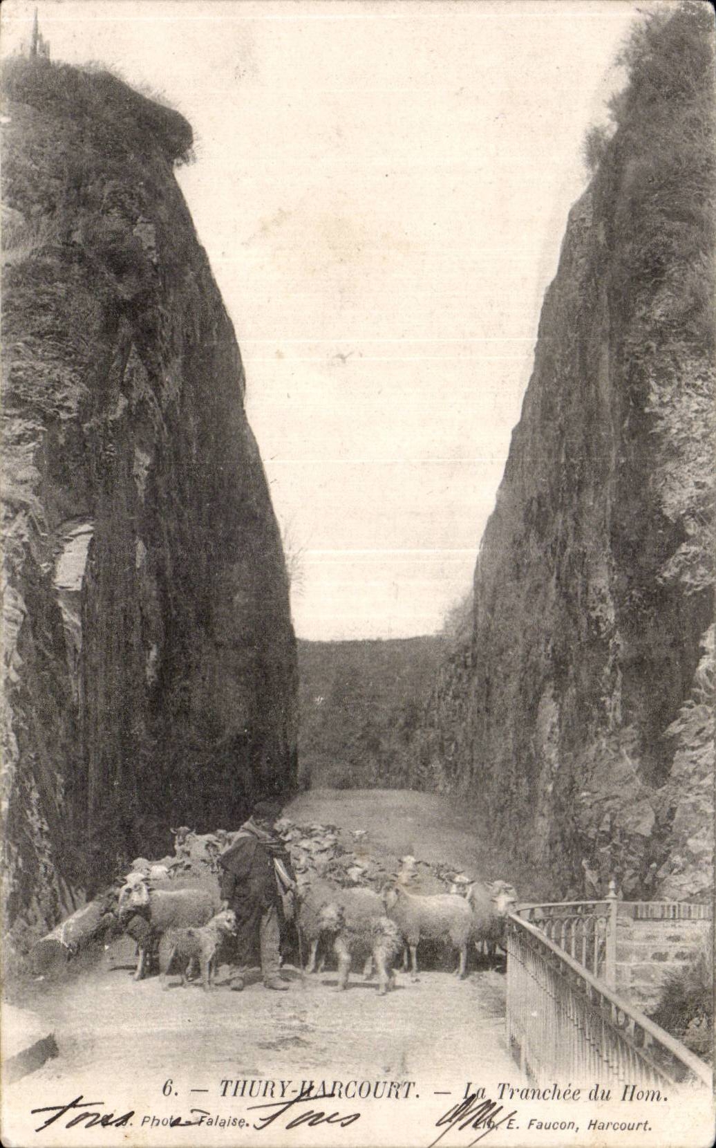 CPA Thury Harcourt La tranchee du Hom Moutons