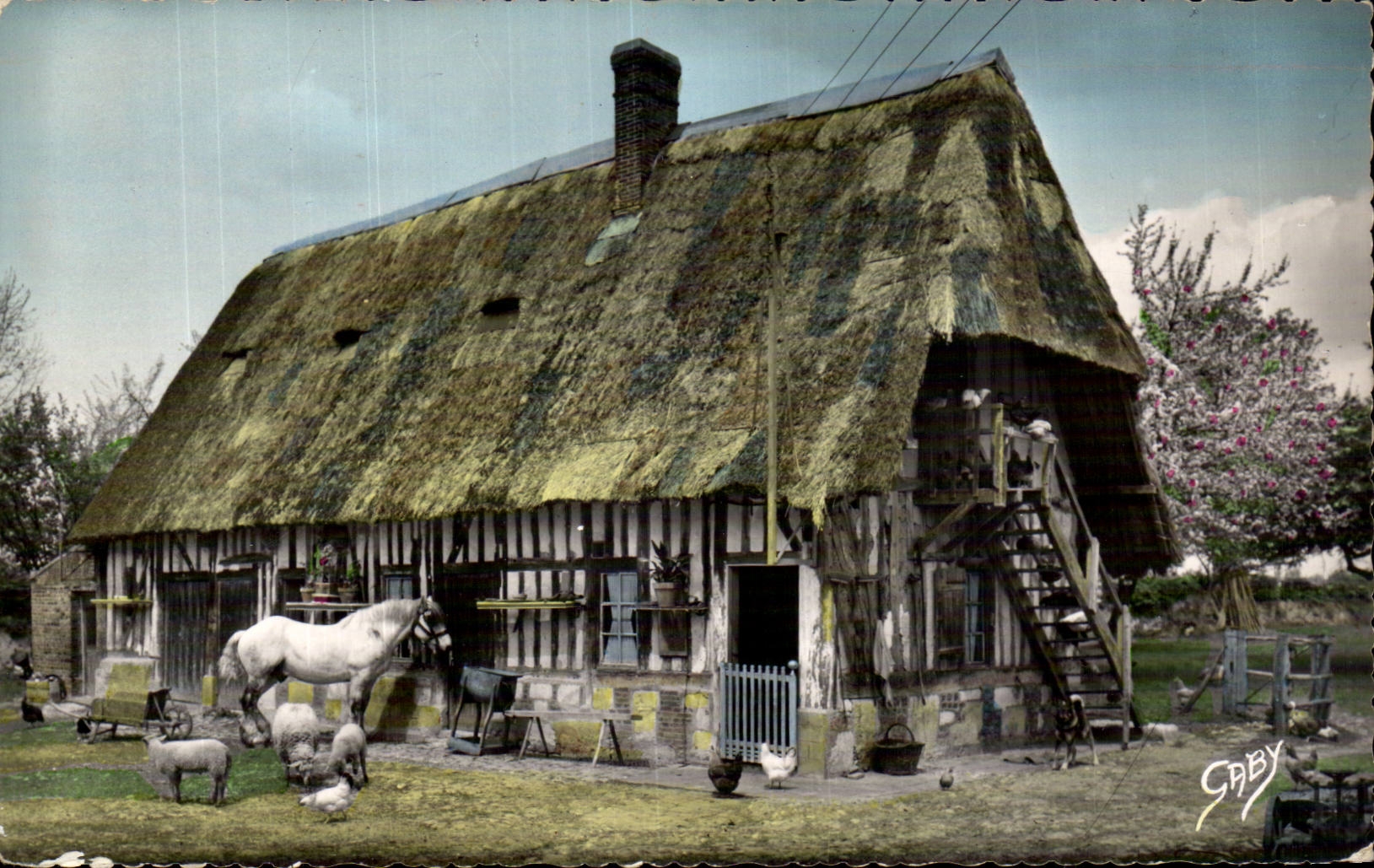La Normandie - Vieille Ferme - CPA 