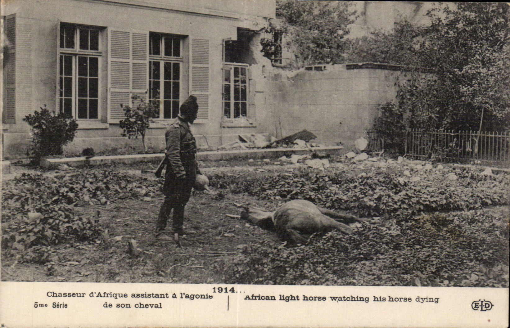 Chasseur d'Afrique assistant à l'agonie de son cheval — 5me Série — E.P.D.