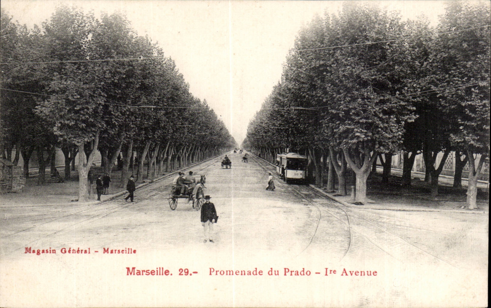 Marseille - Promenade du Pradio - I Avenue - CPA 