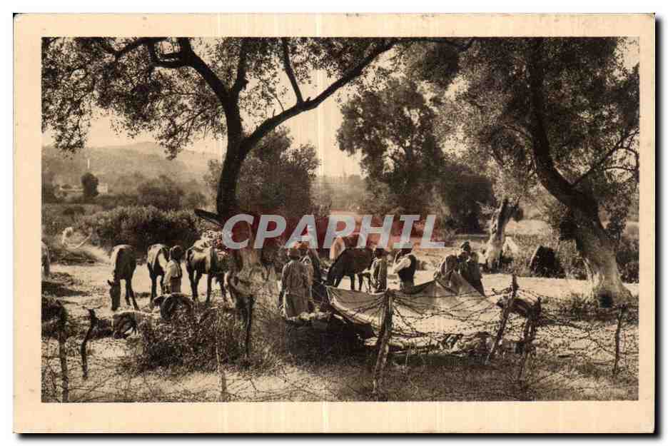 Spahis au bivouac — La Guerre au Maroc — Photo Coutanson