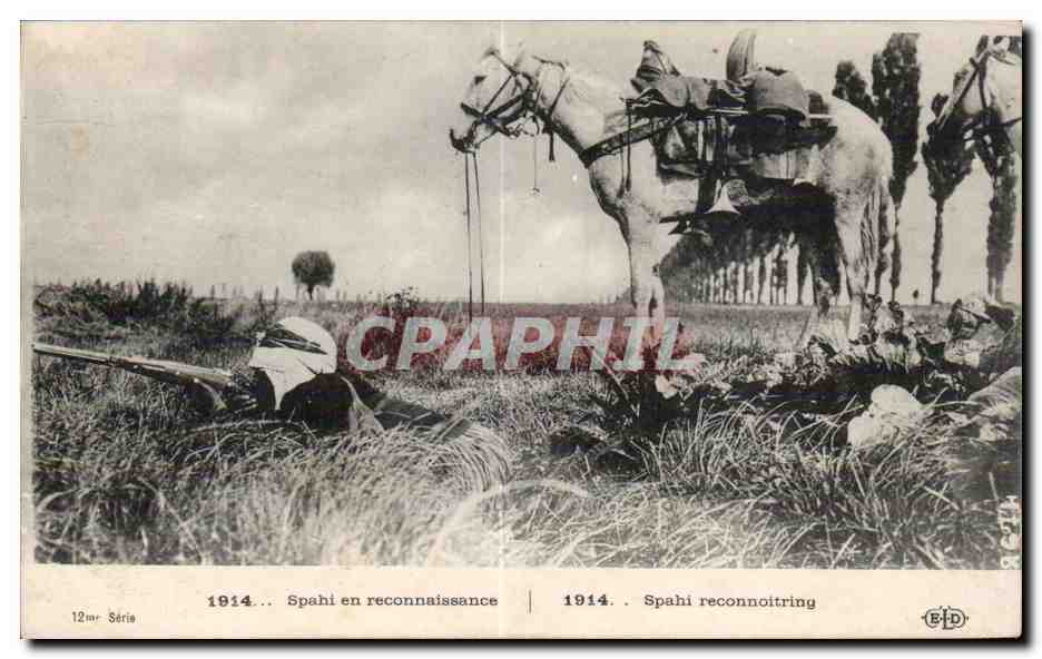 CPA Militaria Spahi en reconnaissance Cheval Horse 