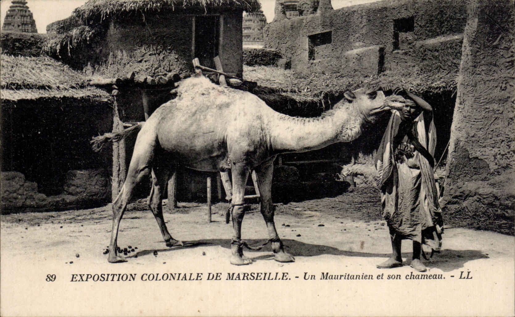 Marseille - Chameau - Camel - Exposition Coloniale - Un Mauritanien - CPA