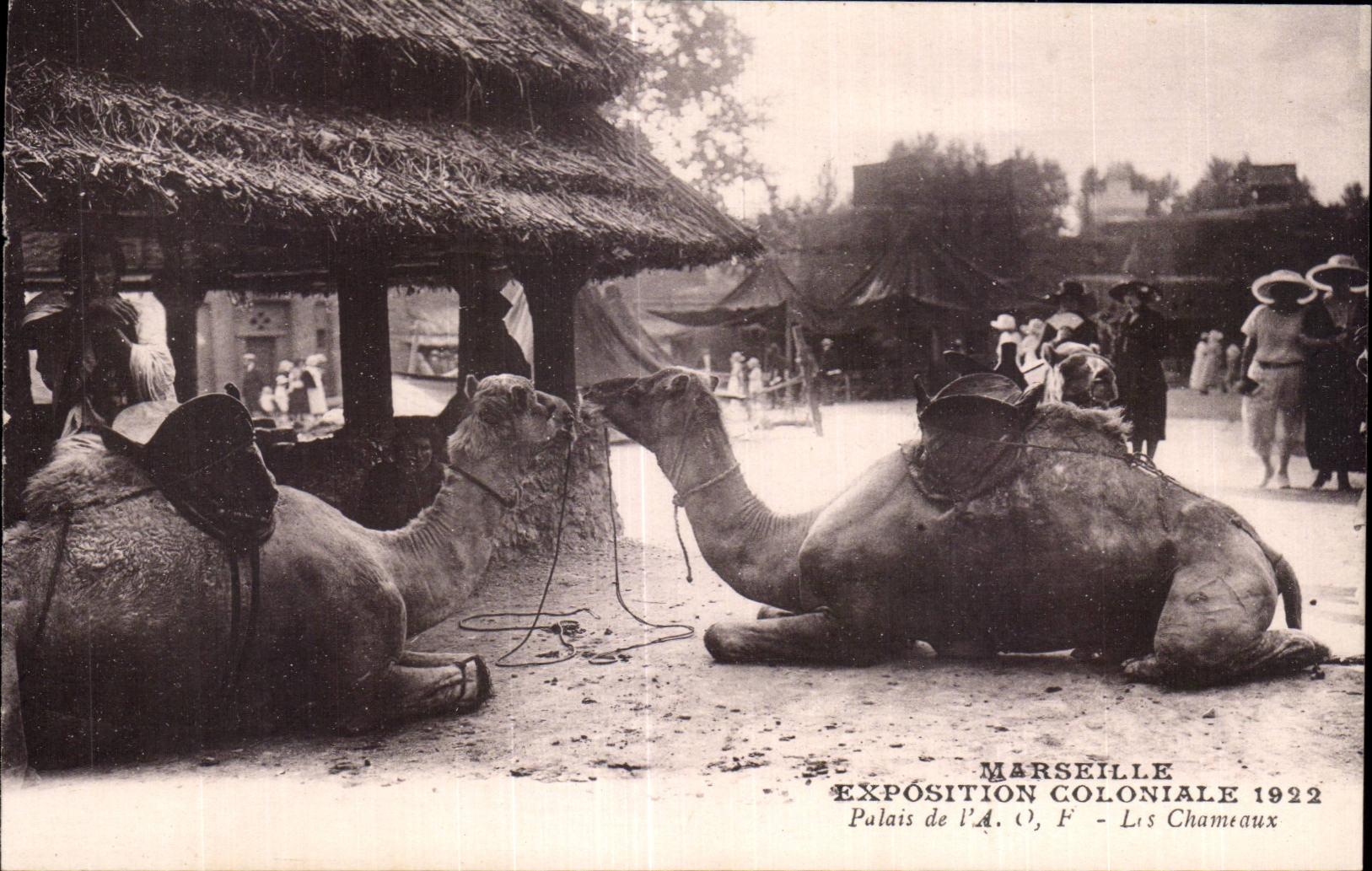 Marseille - Exposition Coloniale 1922 - Palais de l A O F - chameau - camel - CPA
