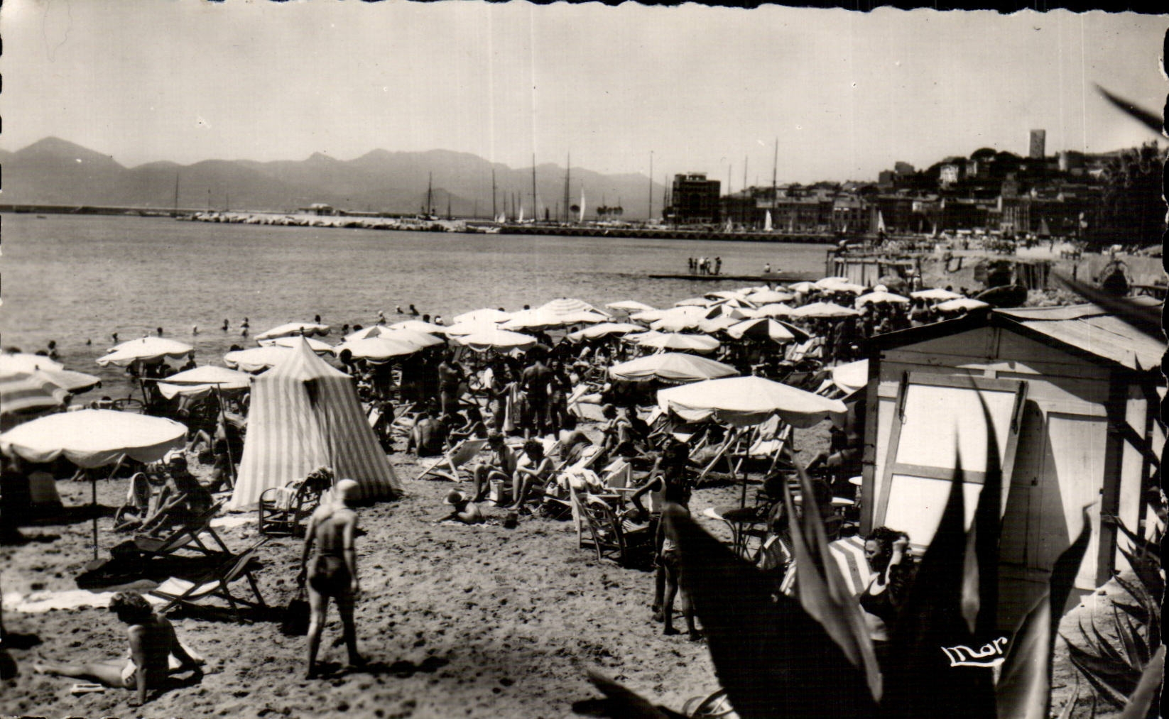 Cannes - La Plage - CPA 