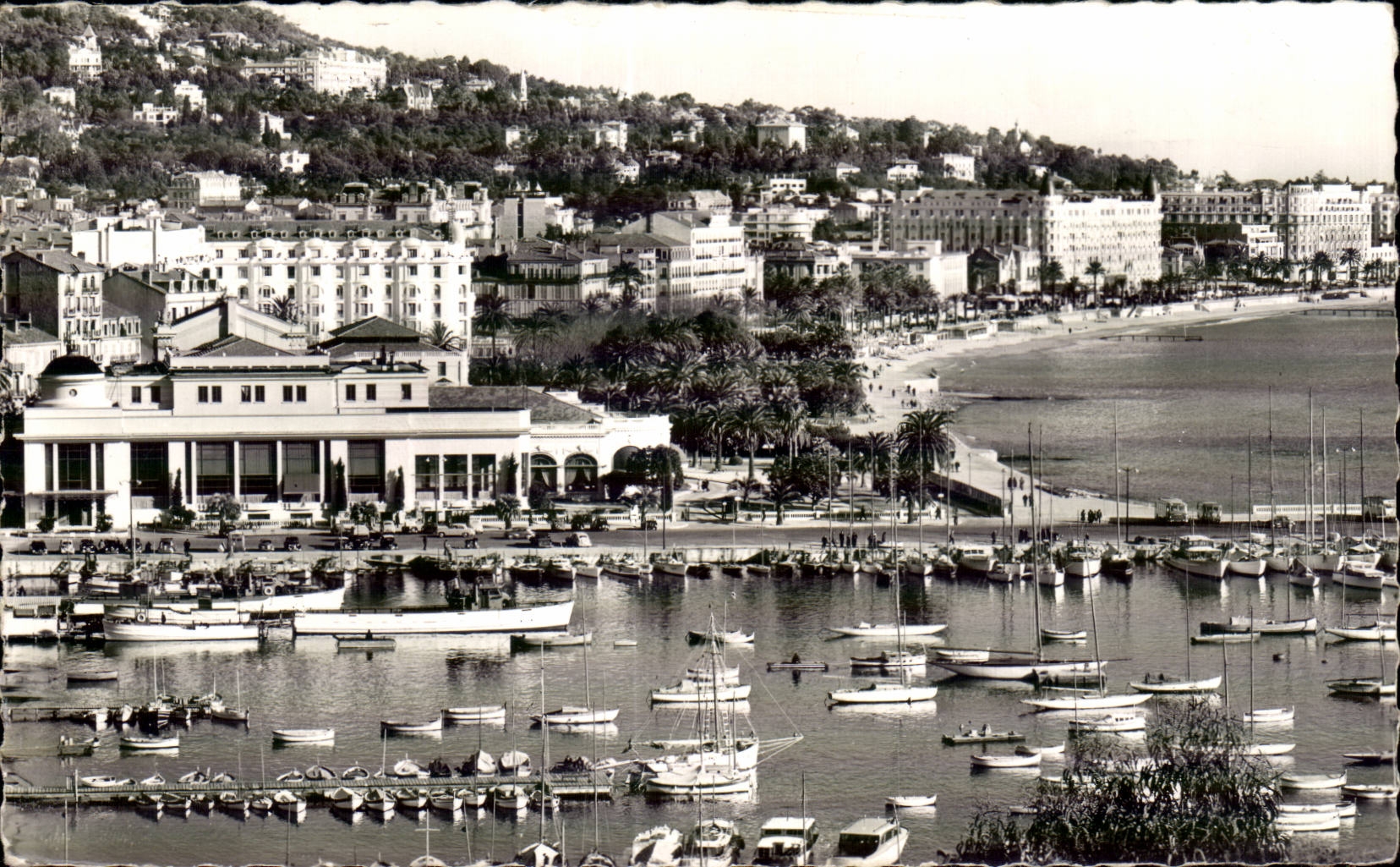 Cannes - Le Port - Le Casino - La Croise - CPA 