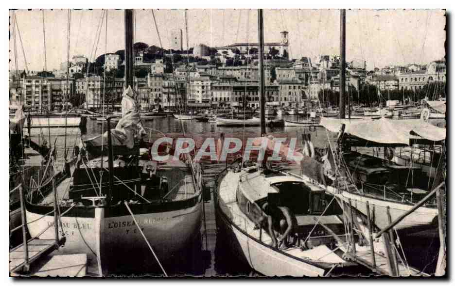 Cannes - Le Port et Suquet Bateaux - CPA 