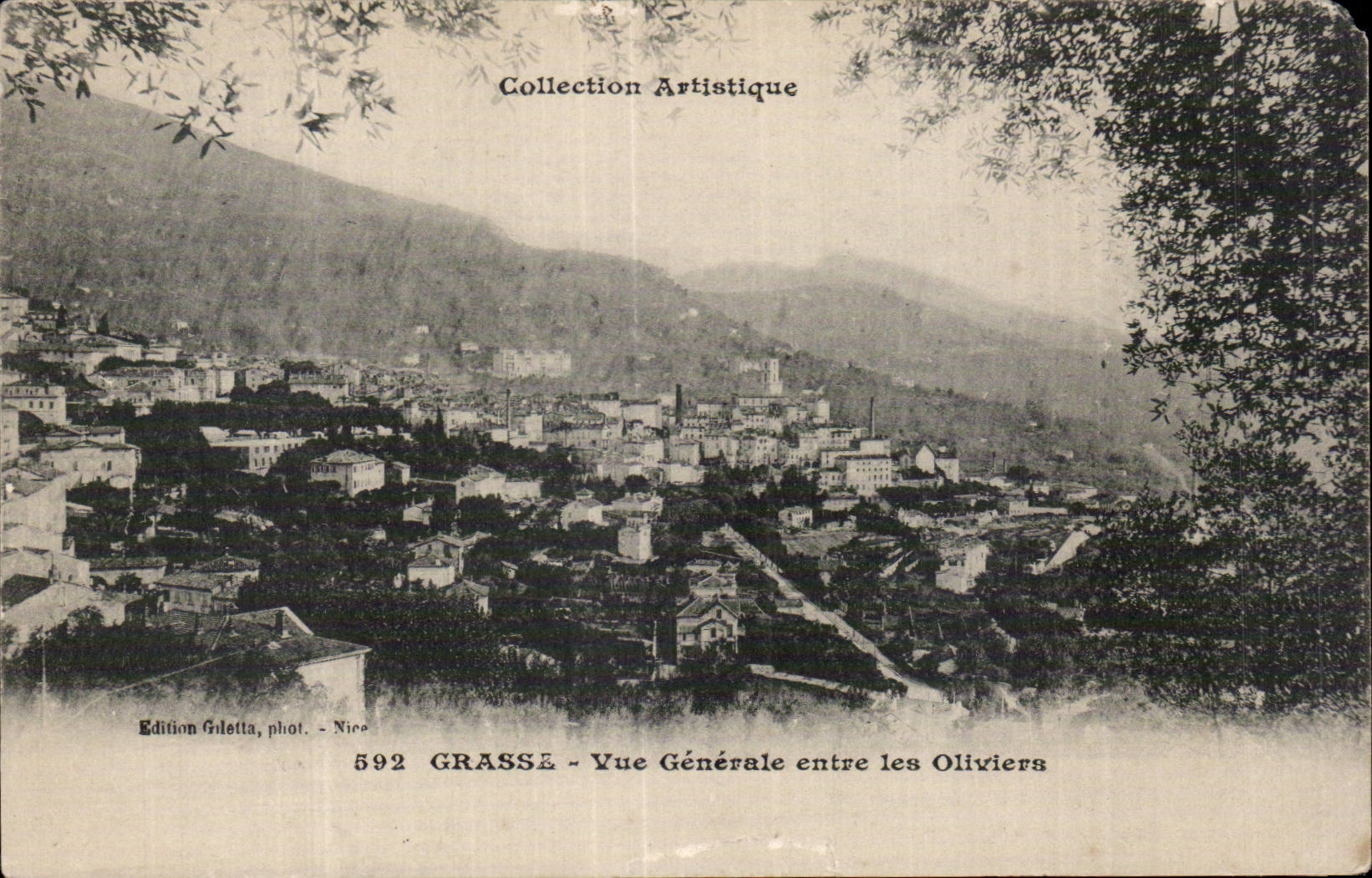 Grasse - Vue Generale entre les Oliviers - CPA
