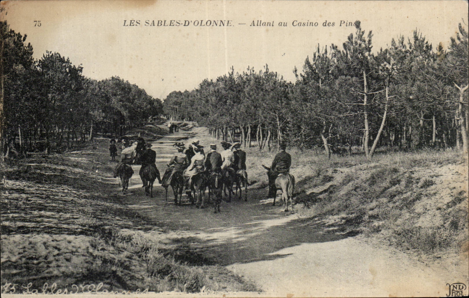 Sables d Olonne - Allant au Casino des Pins - ane - donkey - CPA