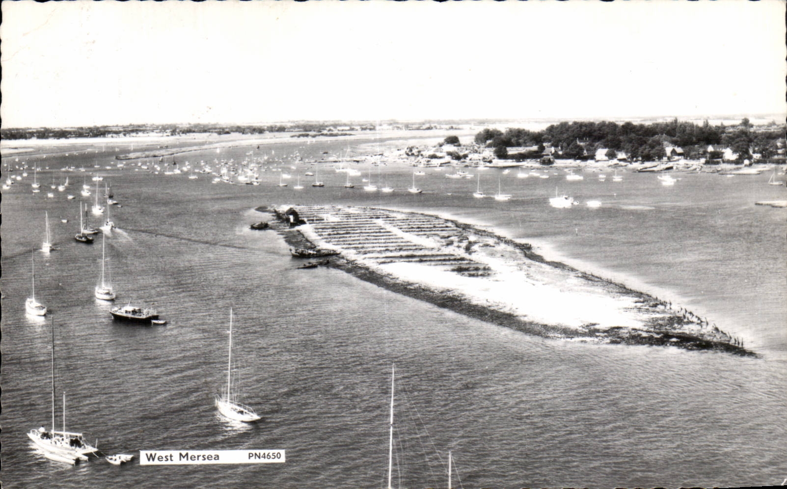 Angleterre - England - Essex - West Mersea - CPA