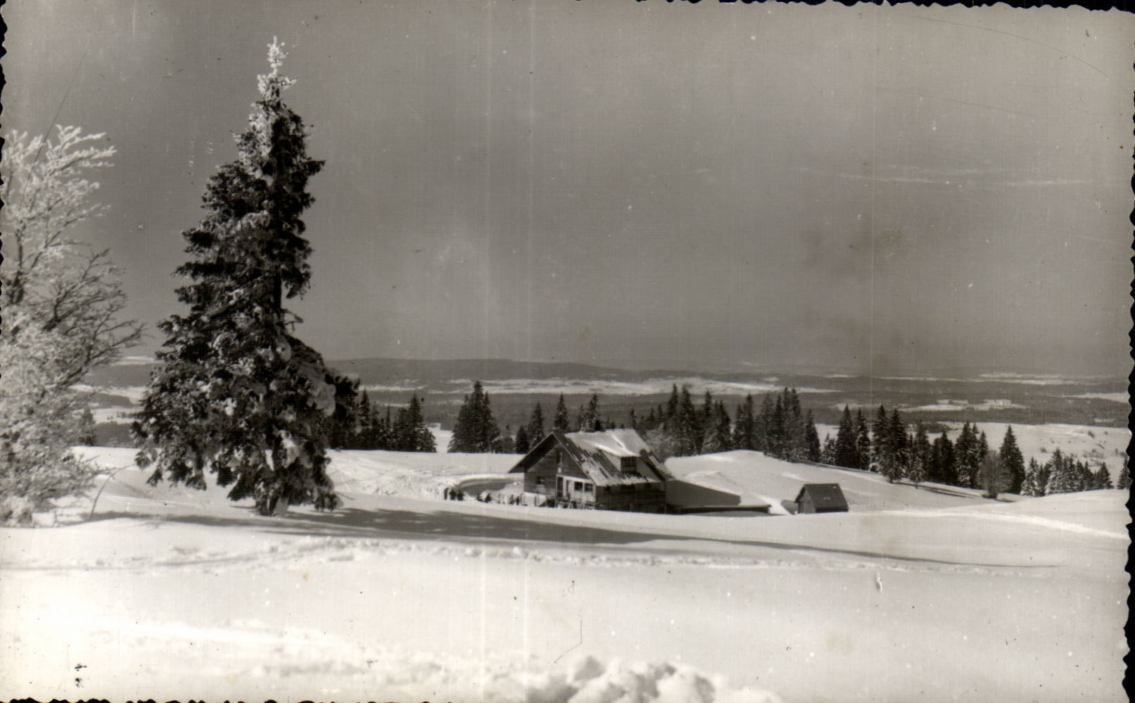 Paysage hivernal — cabane et sapins enneigés — CPAPHIL n°25