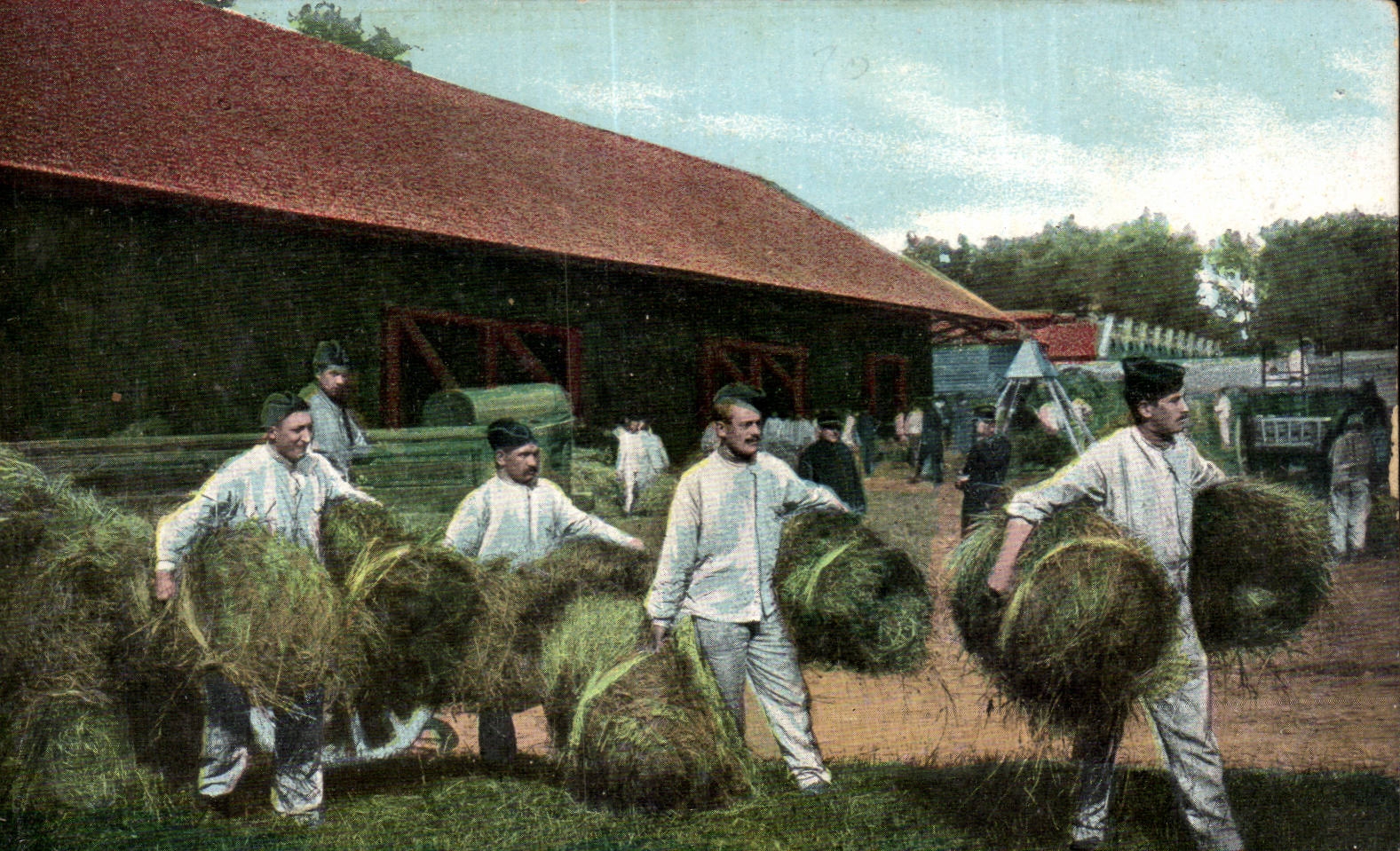 CPA Fantaisie Artillerie Le fourrage