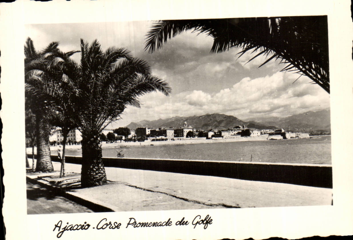 Ajaccio - Corse - Promenade du Golfe — vue de la promenade bordée de palmiers avec le golfe et les montagnes en arrière-plan