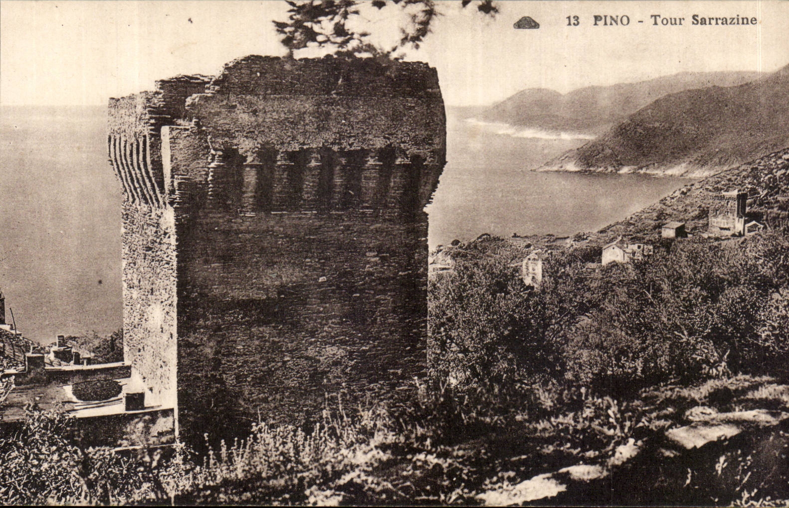 Corse - Corsica - Pino - Tour Sarrazine - CPA 
