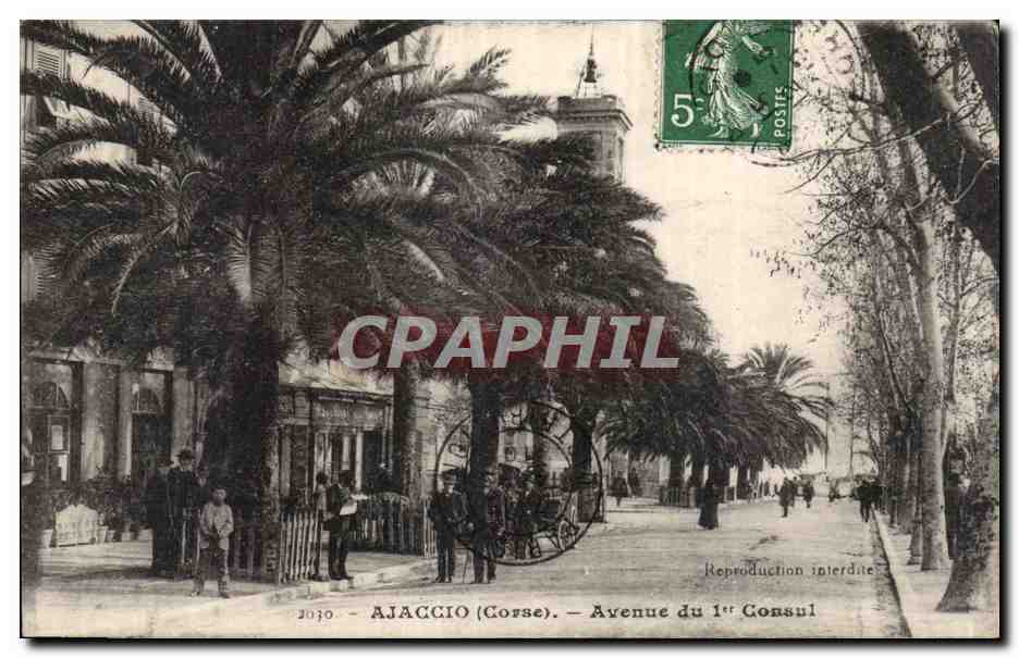Corse - Corsica - Ajaccio - Avenue du I Consul - CPA 