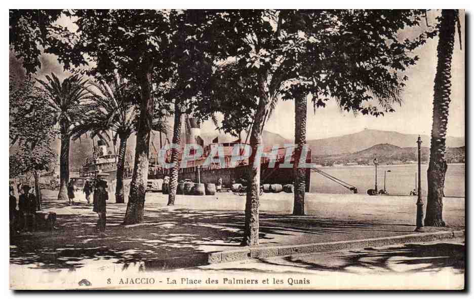 CPA Corse Corsica Ajaccio La place des palmiers et les quais