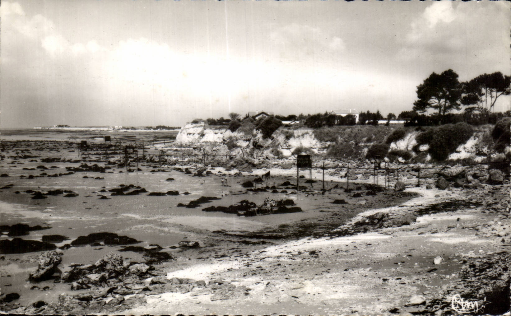 Angoulins sur Mer - Plage de la Sapiniere - CPA 