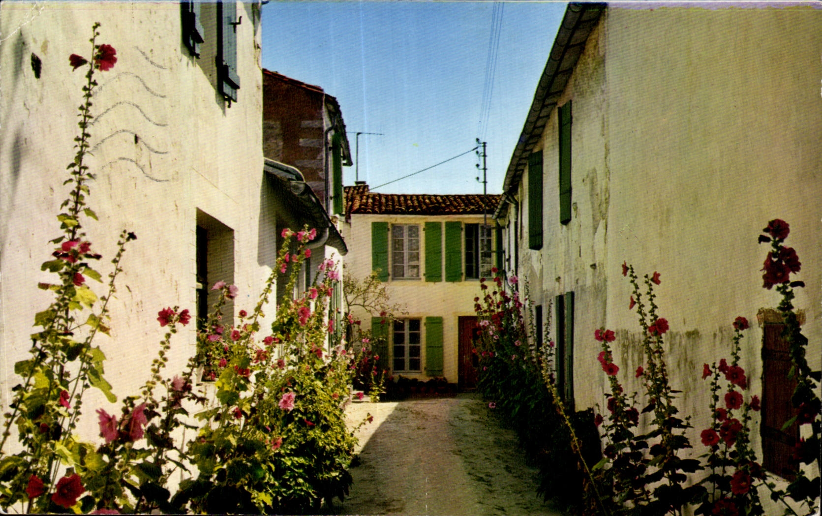 Le Bois — Ile de Ré (Charente-Maritime) — Couleurs Naturelles